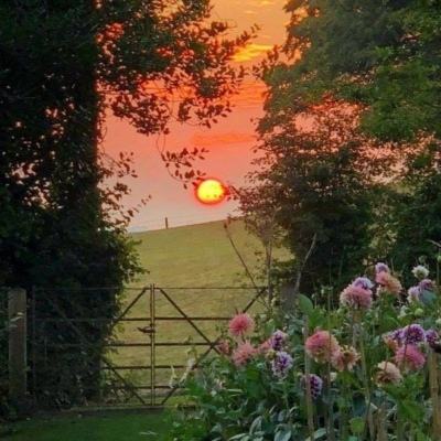 户员可以补办户口吗