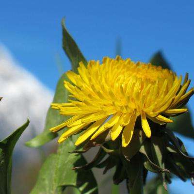 BET体育365投注官网